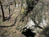 1_image00004