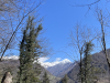 1_image00006