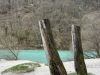 image00011